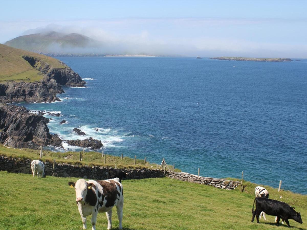 Cois Chnoic Holiday Home Dingle By Trident Holiday Homes Экстерьер фото