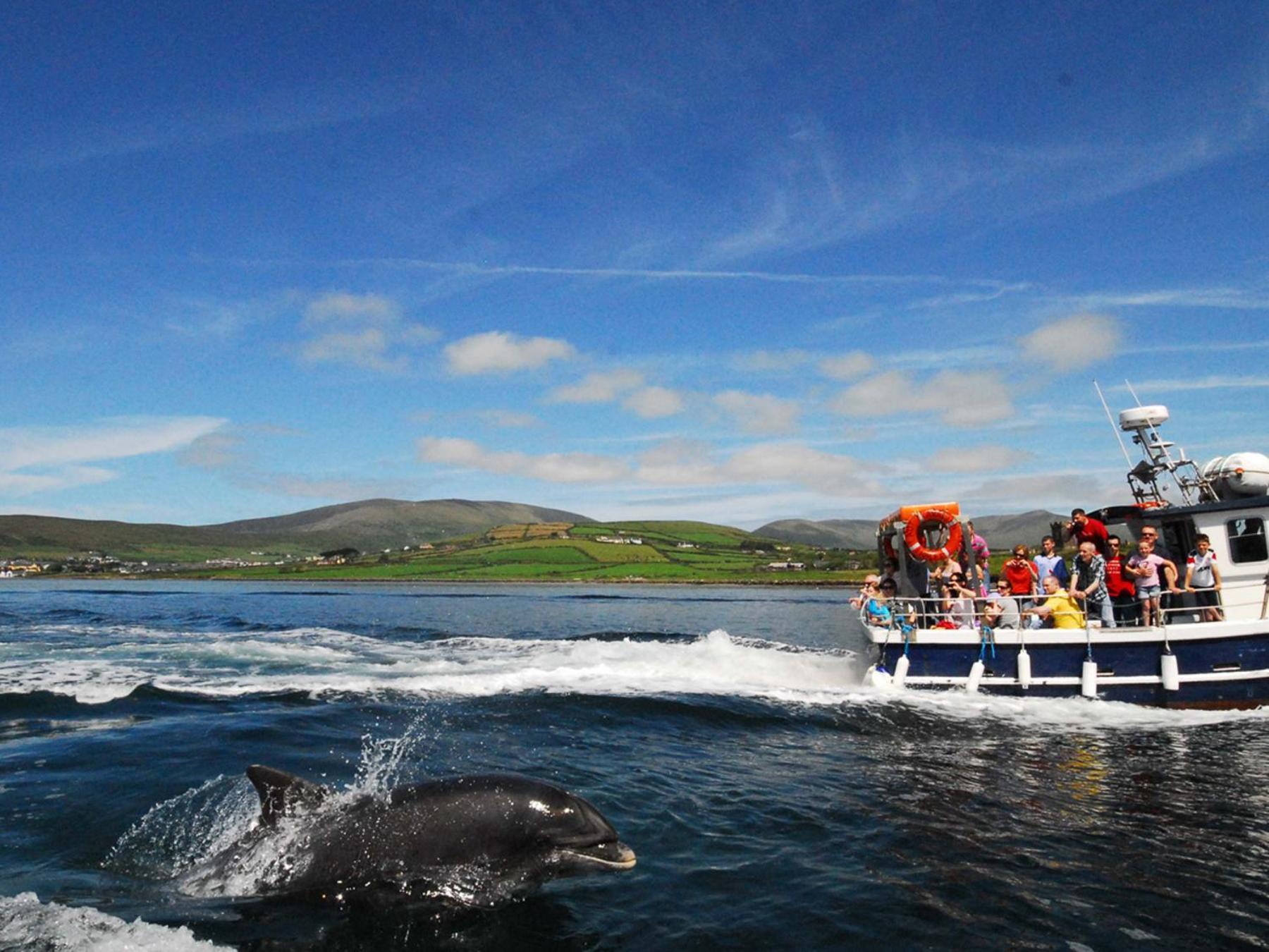 Cois Chnoic Holiday Home Dingle By Trident Holiday Homes Экстерьер фото